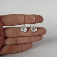 silver Selene hook earrings